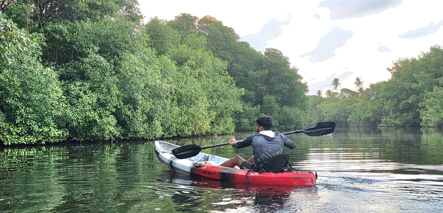 Group of six kayakers on tour
